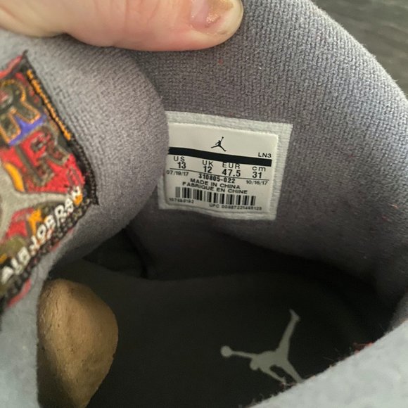 Wolf Grey Air Jordan Retro 10 - Picture 5 of 10